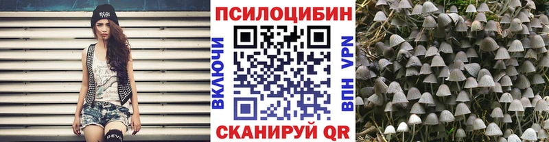 KRAKEN ссылки  где купить   маркетплейс клад  Галлюциногенные грибы MAGIC MUSHROOMS  Горячий Ключ 
